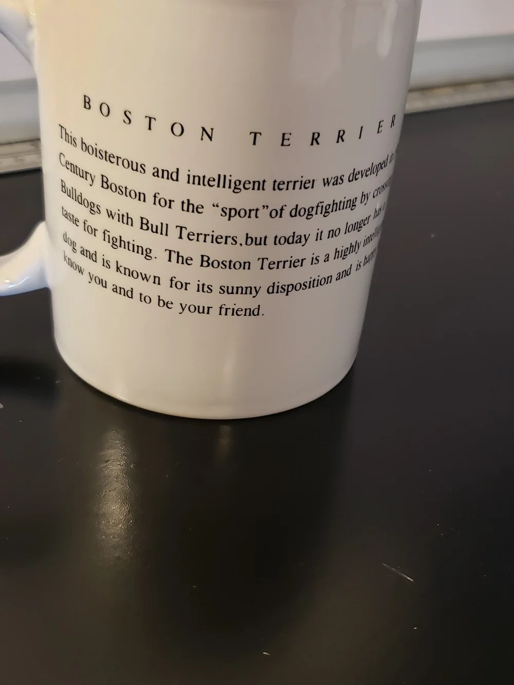 White Ceramic Mug with Black and White Boston Terrier Photo